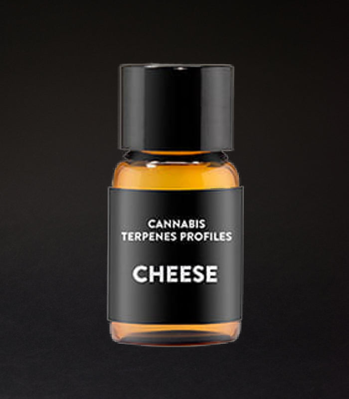 Cali Terpenes | Cheese Terpenes | 1 ml