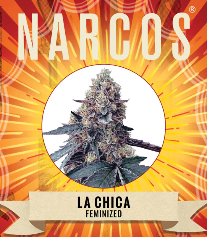 Narcos | La Chica | 3 Seeds per Pack