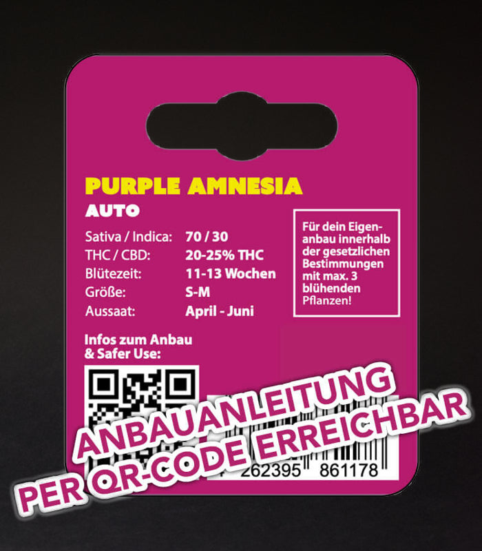 Purple Amnesia | 3 Samen