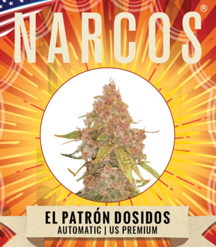 Narcos | El Patron Dosidos | Auto | 3 Seeds per Pack