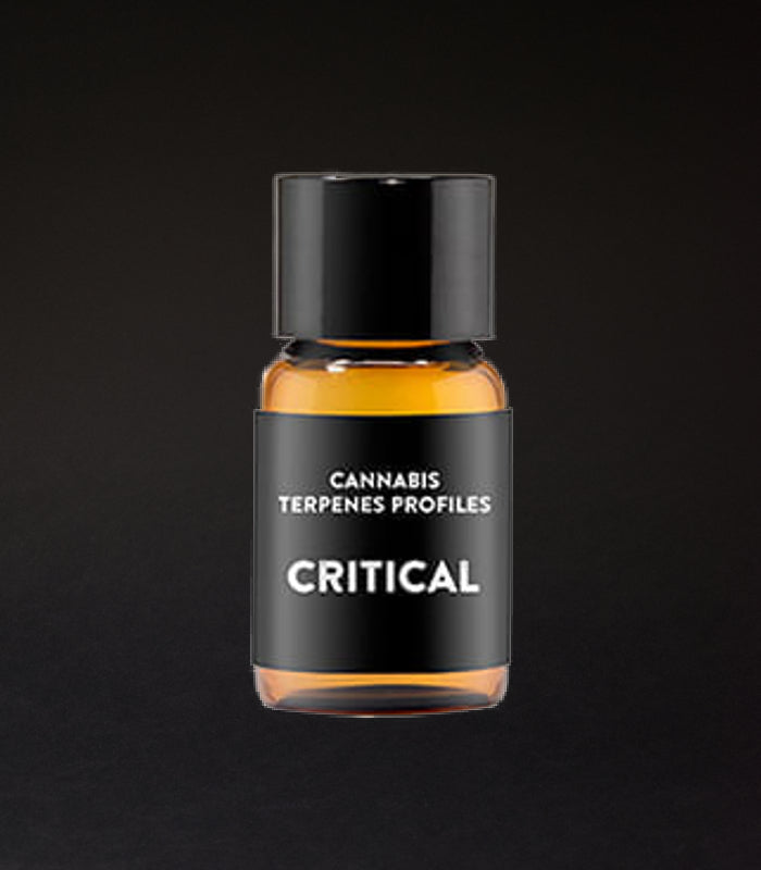 Cali Terpenes | Critical Terpenes | 1 ml