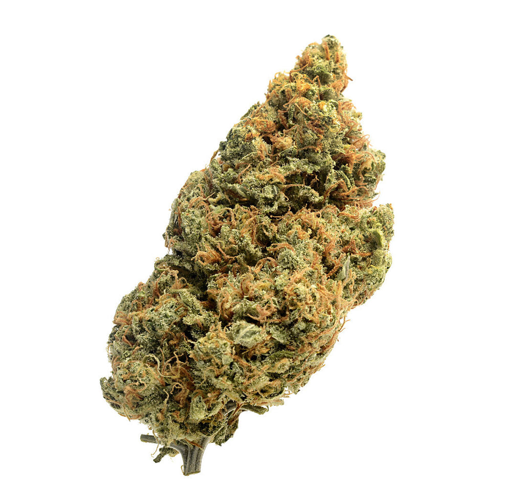 Blue Amnesia Autoflower | 5 Samen