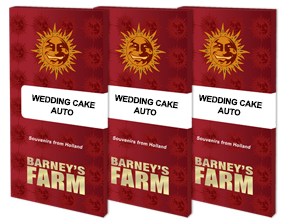 Wedding Cake Auto | 3 Samen