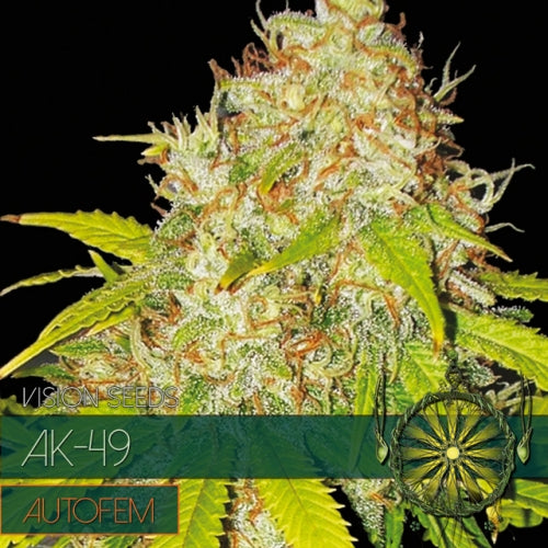 AK-49 AutoFem | 3 Samen