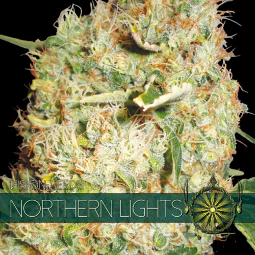 Northern Lights Fem | 5 Samen