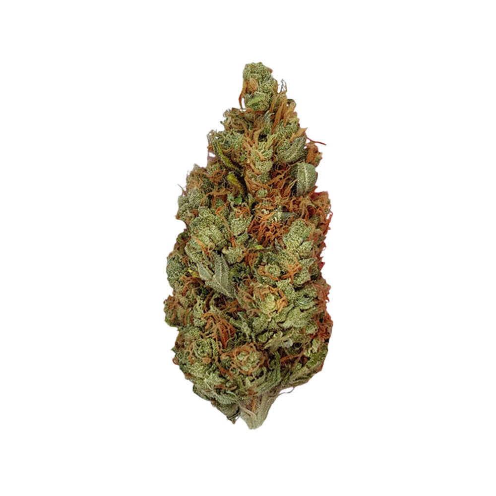 Green Gelato Fem | 3 Samen