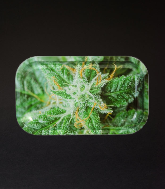 V-Syndicate | Rolling-Tray | Buds AK-47 | Small