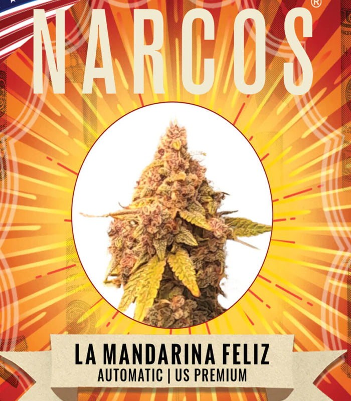 Narcos | La Mandarina Feliz | 3 Samen