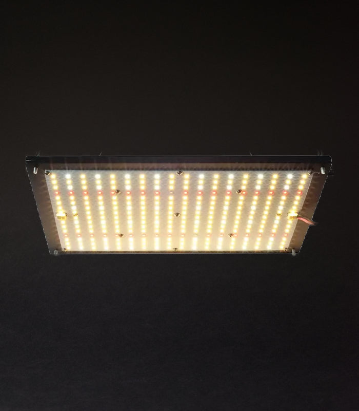 100 W LED | Growlampe | Samsung Lm281 b Plus