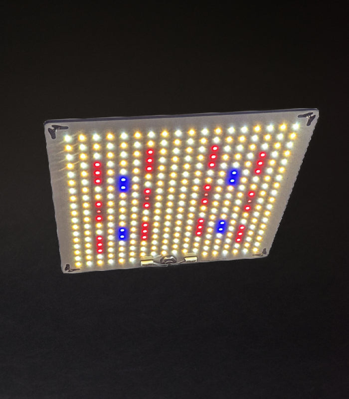 100 W LED | Growlampe | Samsung Lm281 b Plus