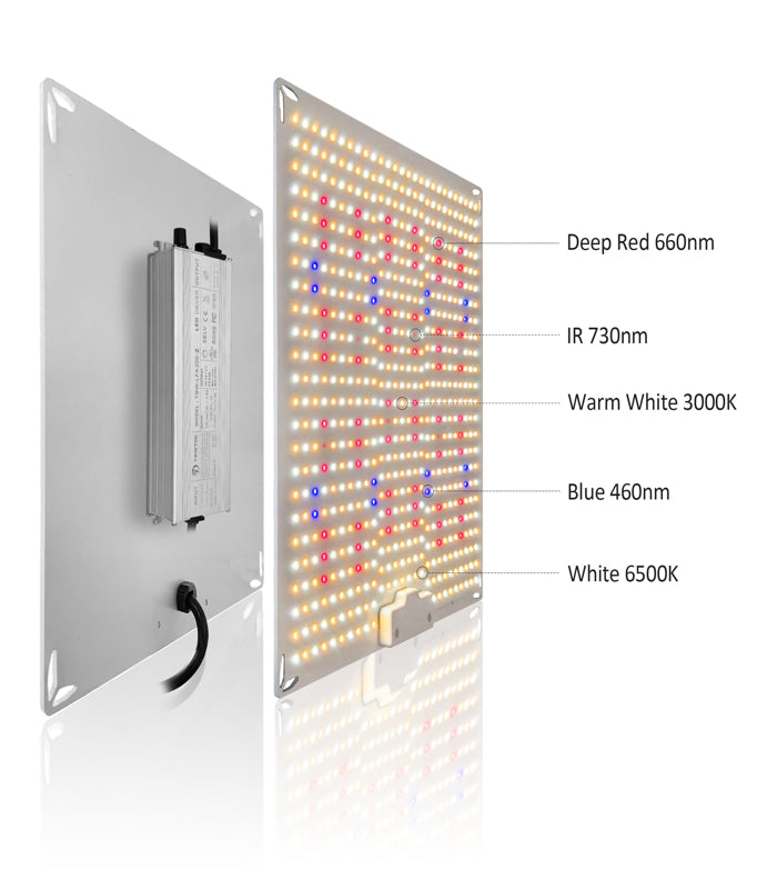 200 W LED | Growlampe | Samsung Lm281 b Plus