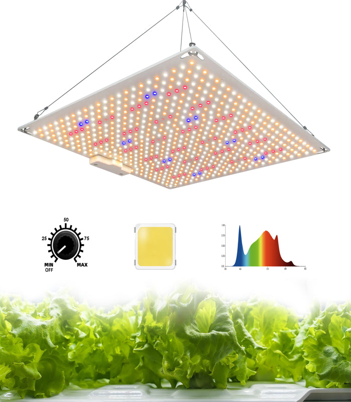 200 W LED | Growlampe | Samsung Lm281 b Plus