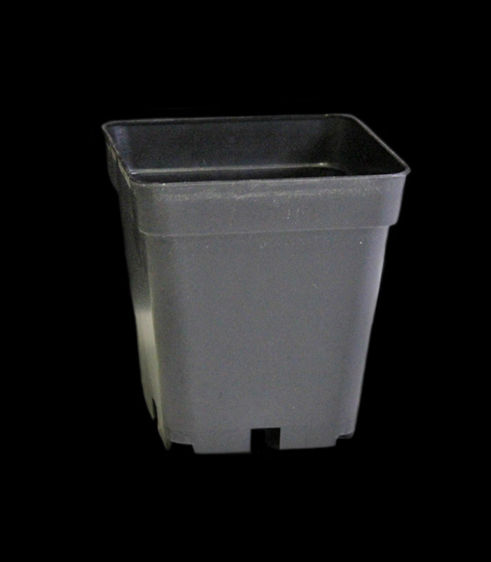 Teku Topf | 13 x 13 x 13 cm | 2,2 L | viereckig, stabil |