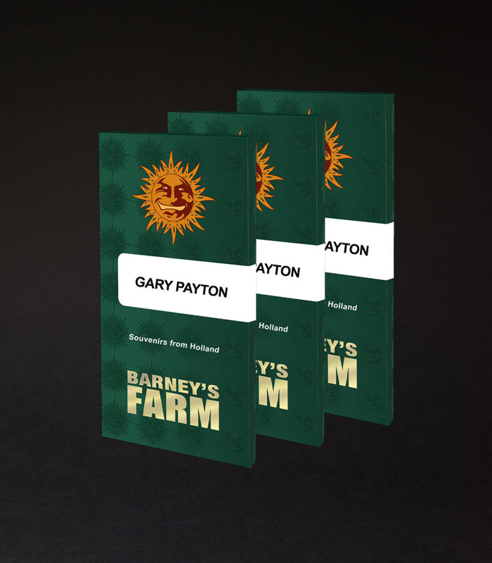 Barney's Farm | Gary Payton 100 % | 3 Samen