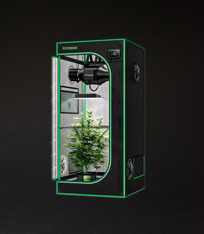 Vivosun | Growbox Komplettset | 60 X 60 X 160 cm