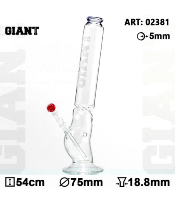 Giant | Bolt | 54 cm | 18,8er Schliff  |  mit Eis