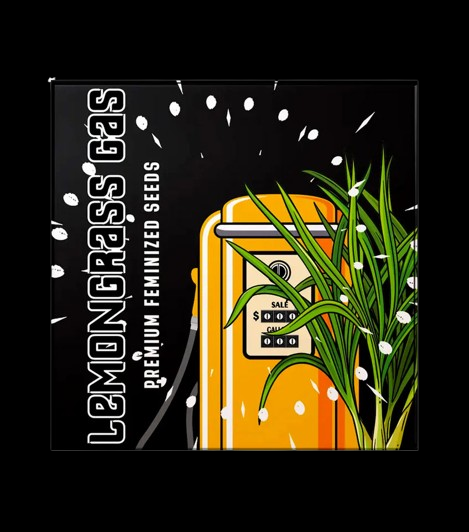 Doja Seeds | Lemongrass Gas | 6 Samen