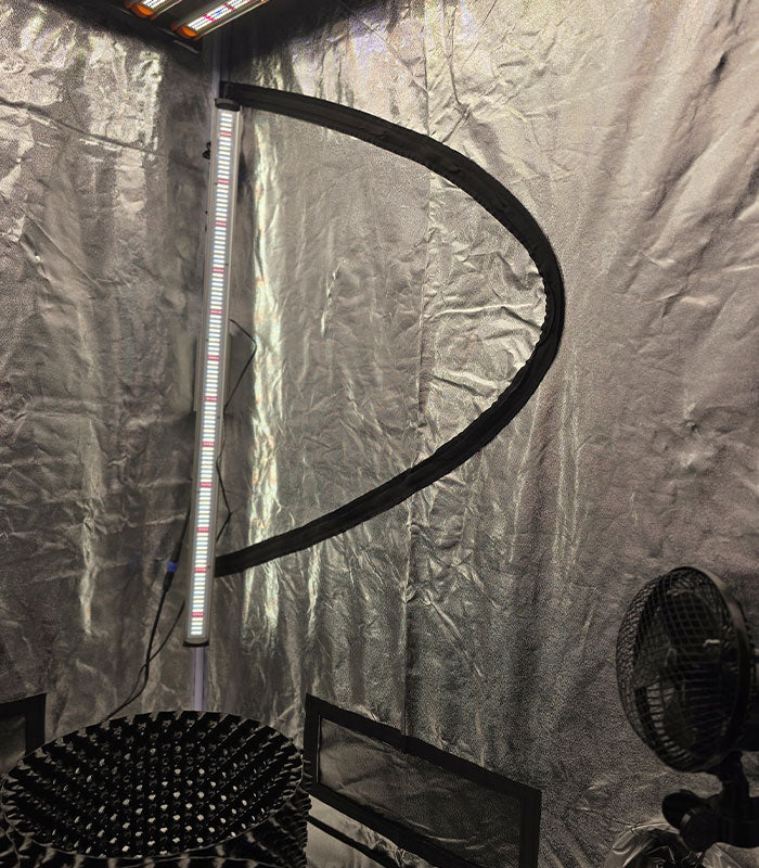 XDREAM Growbox Profi-Setup