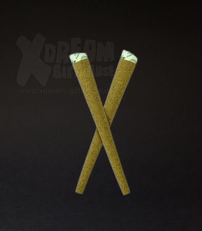 G-ROLLZ | PRE-ROLLED MANGO PULP | 2ER PACK