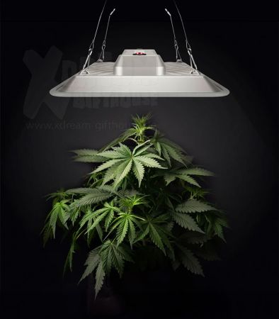 Greenception PURE LED Grow Lampe – 80W Leistung für begrenzten Raum