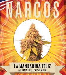 Narcos | La Mandarina Feliz | 3 Samen