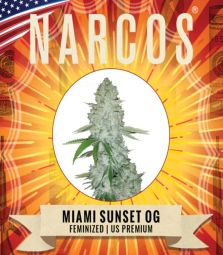 Narcos | Miami Sunset OG | 3 Samen