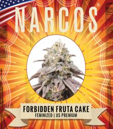 Narcos | Forbidden Fruta Cake | 3 Samen