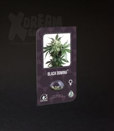 Sensi Seeds | Black Domina 100% | 5 Samen