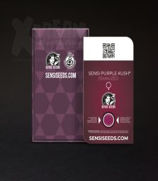 Sensi Seeds | Sensi Purple Kush 100% | 5 Samen