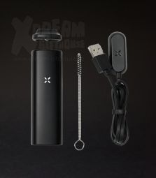 PAX Mini | Onyx | Global M20