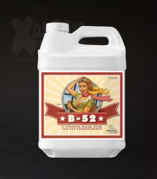 Advanced Nutrients | B-52 | 250ml